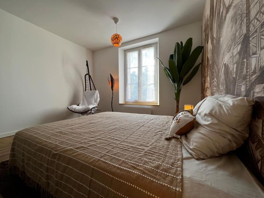 Appartement Grand F2 Proche Du Centre Ville. *