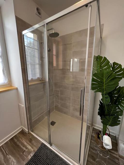 Appartement Grand F2 Proche Du Centre Ville. *