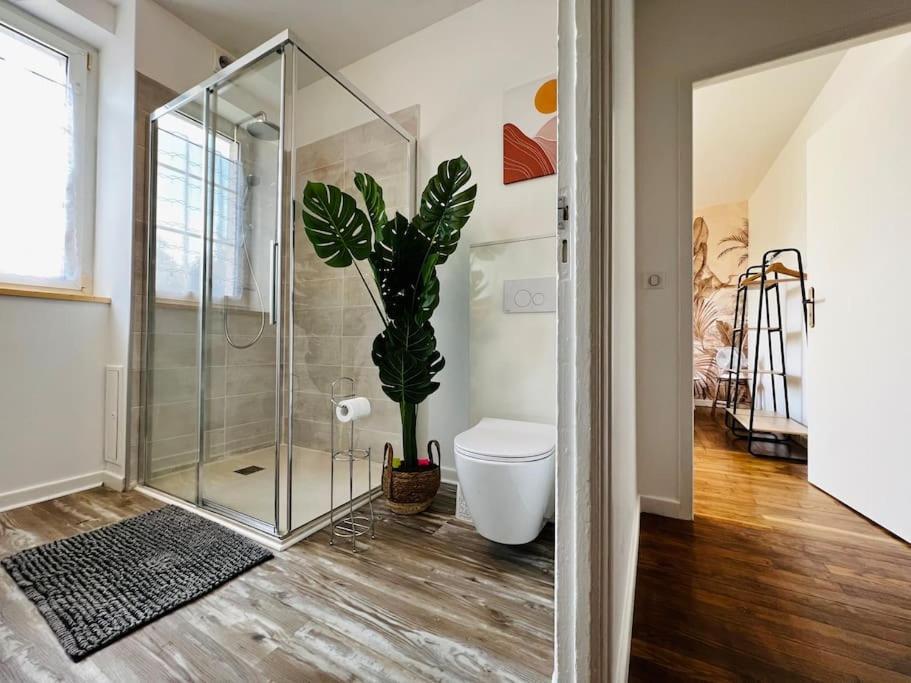 Grand F2 Proche Du Centre Ville. Appartement Châlons-en-Champagne